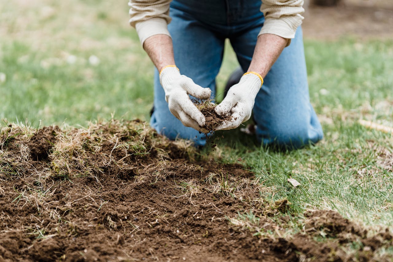 Classification of Fertilizers (Based on Raw Materials)