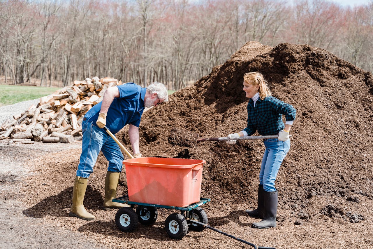 A man and woman are collaboratively loading wood chips into a wheelbarrow in a garden setting.