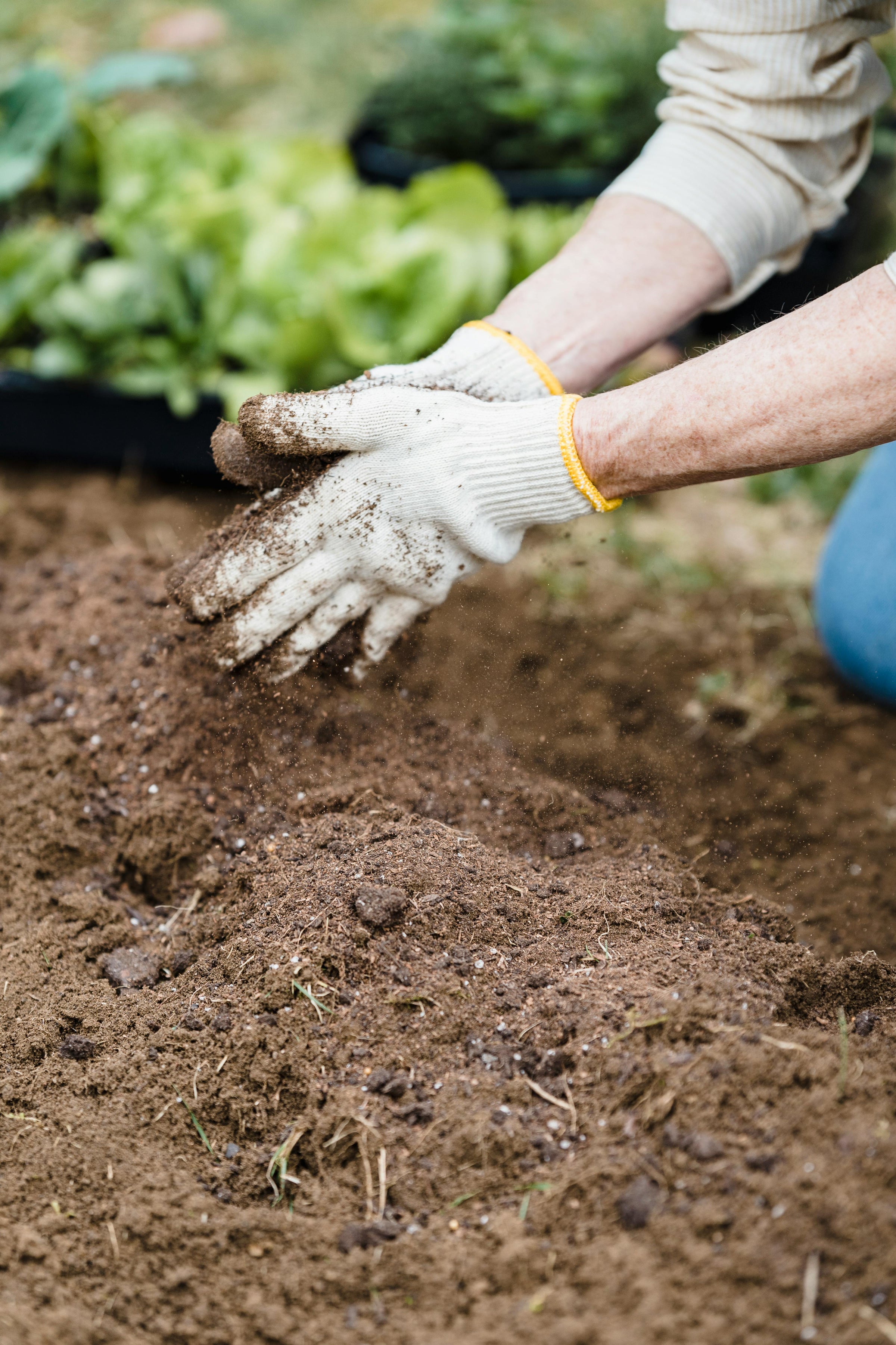 Composting 101: A Beginner's Guide
