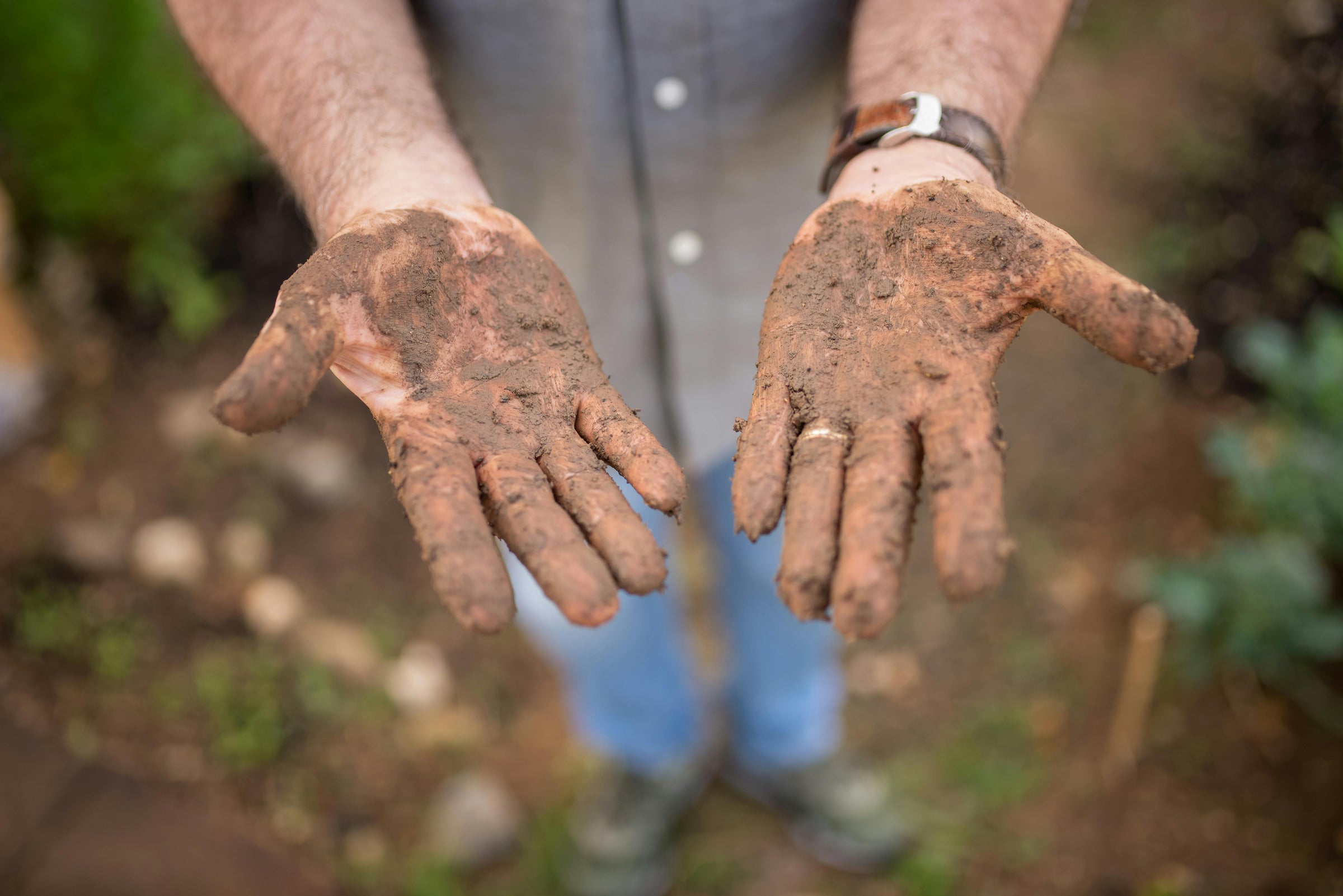 What Role Do Microorganisms Play in Composting? The Biology Explained Simply