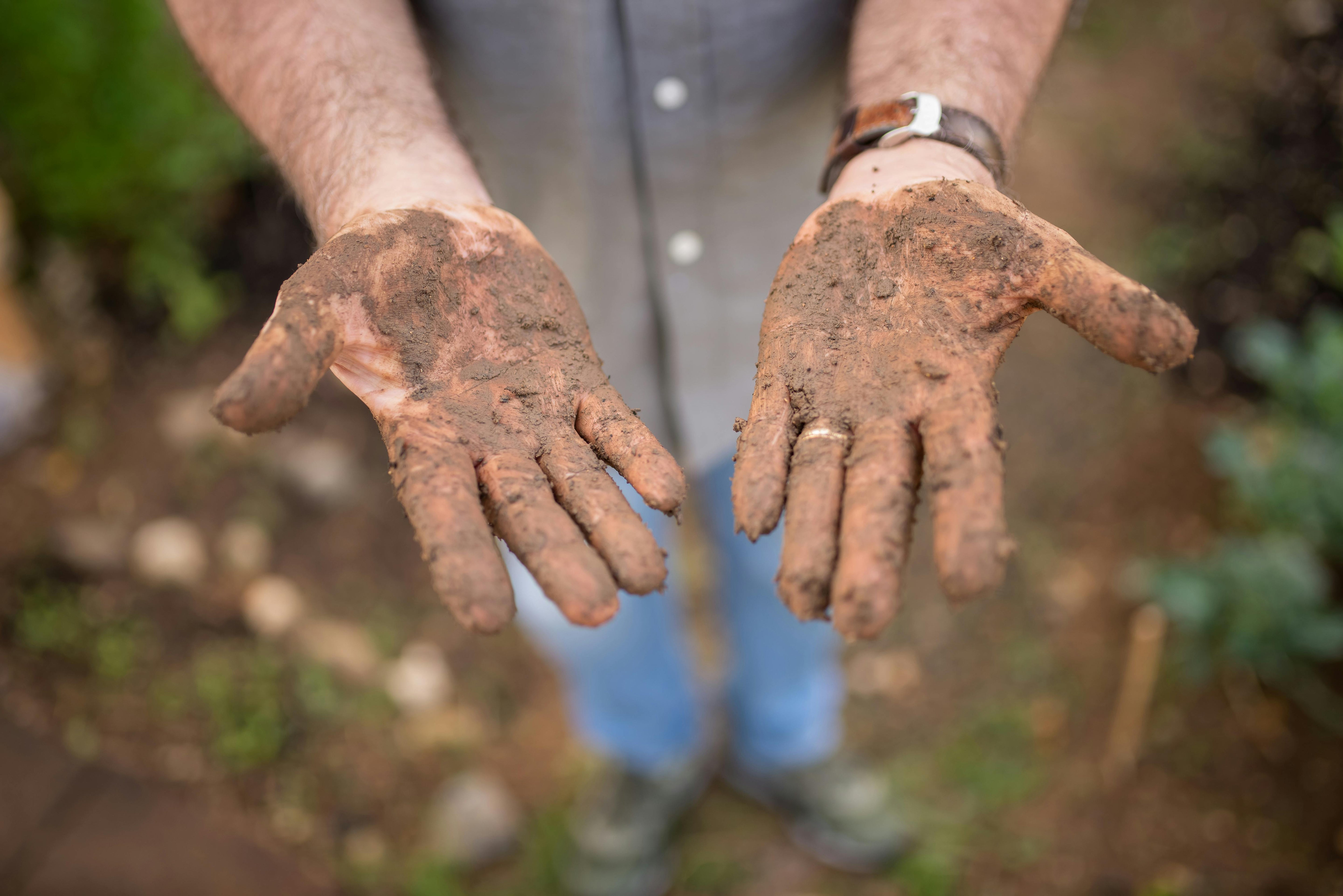 What Role Do Microorganisms Play in Composting? The Biology Explained Simply
