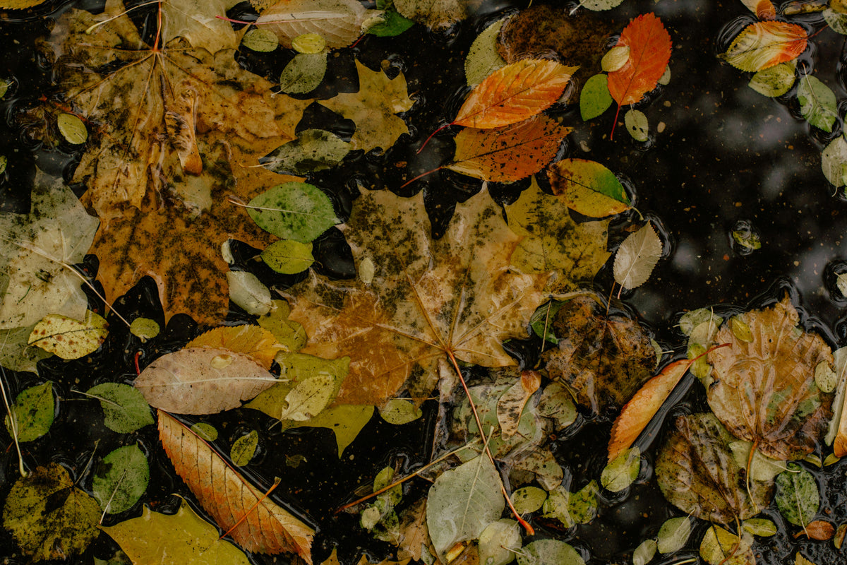 Why Does My Compost Smell Bad? 6 Causes and Exactly How to Fix Each One