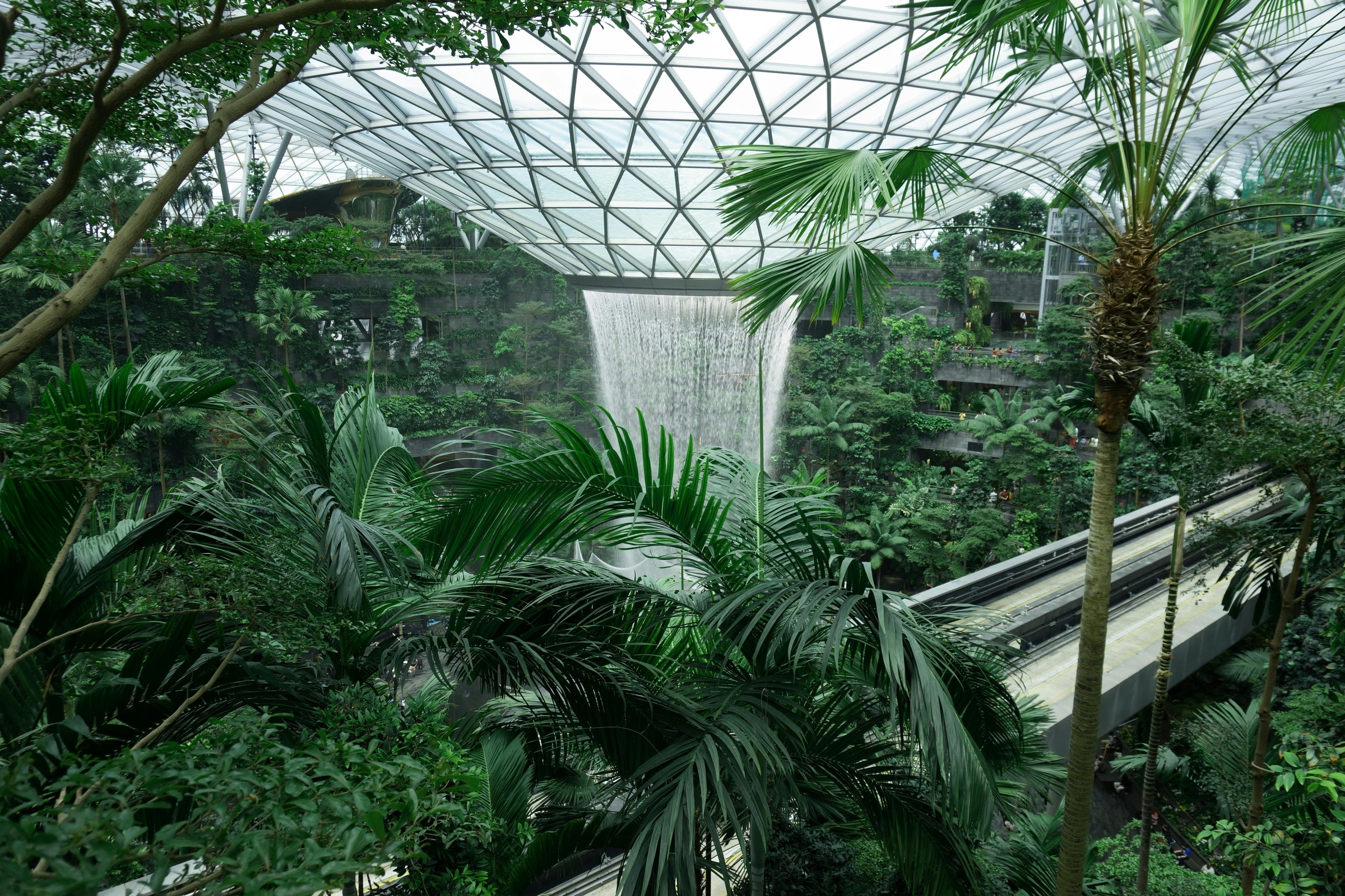What Vegetables Can I Grow Indoors in Winter Without a Greenhouse?