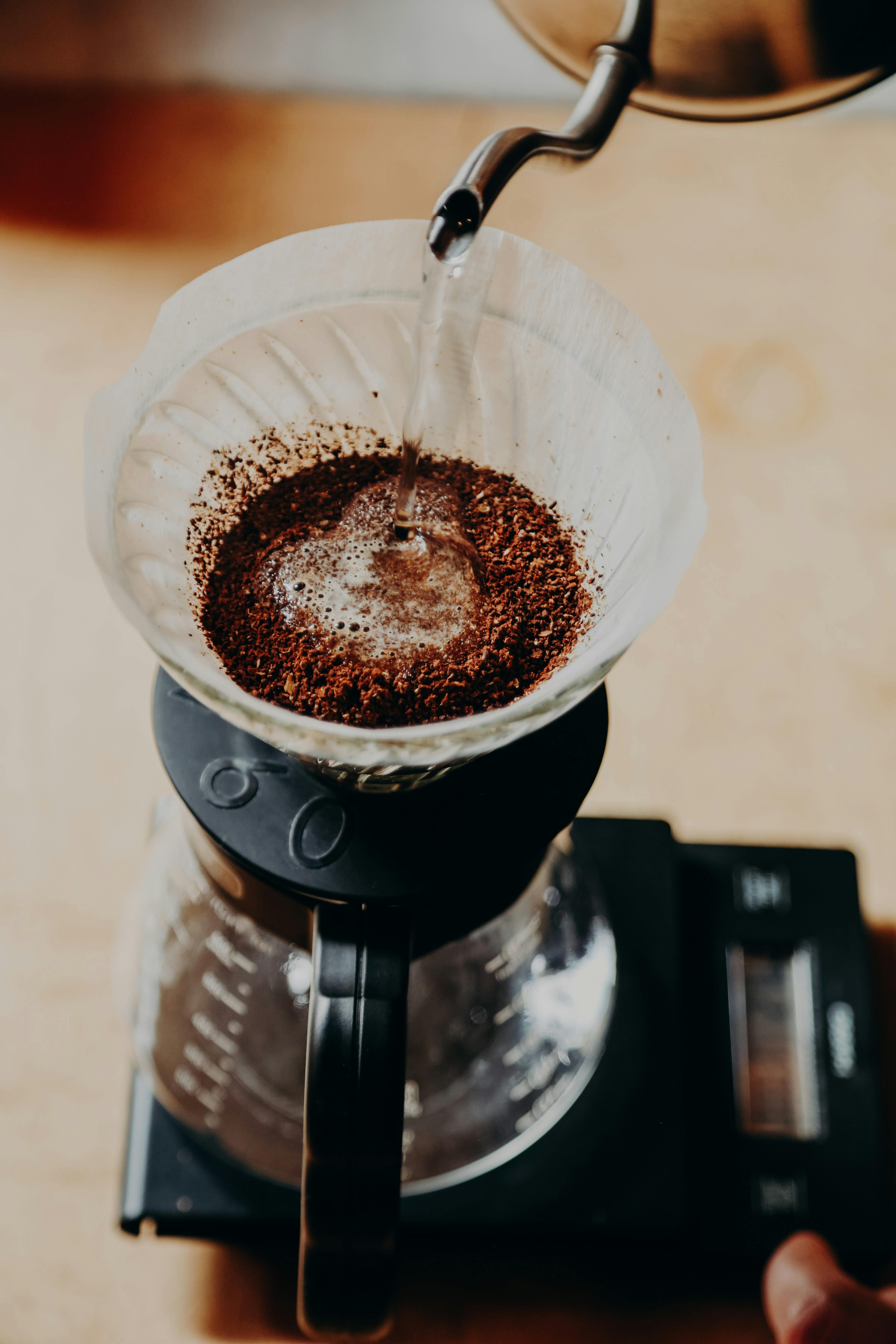 Can I Put Coffee Grounds in My Compost? What You Need to Know