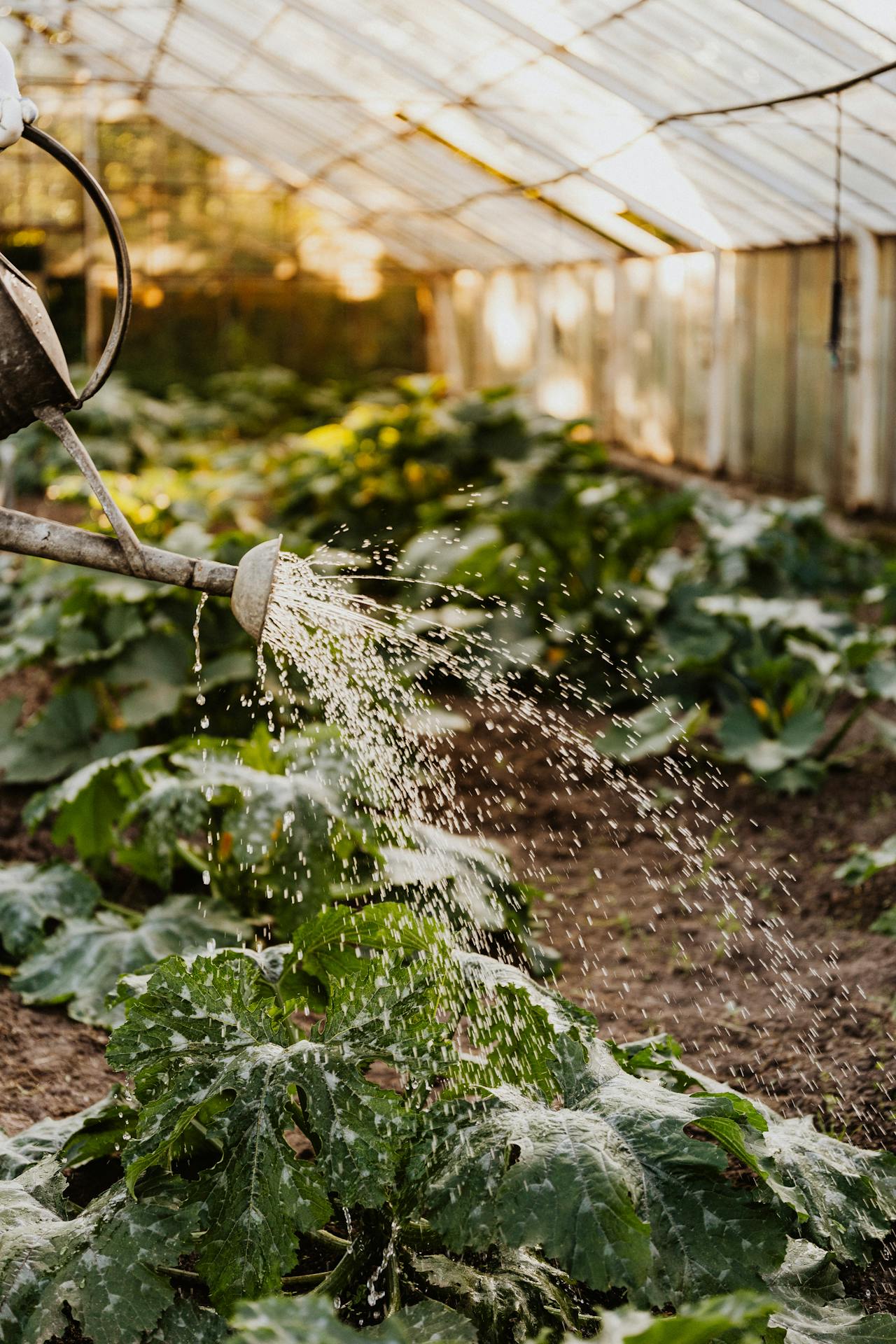 Easy ways to check soil nutrients for a healthy garden