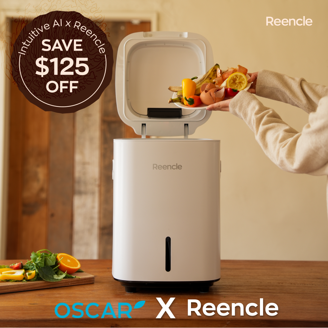 Reencle Prime (Intuitive AI)